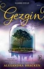 Gezgin