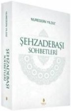 Sehzadebasi