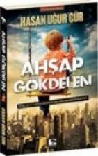 Ahsap Gökdelen