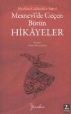 Mesnevide Gecen Bütün Hikayeler