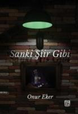 Sanki Siir Gibi