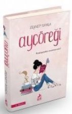 Aycöregi