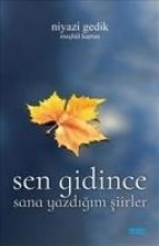 Sen Gidince Sana Yazdigim Siirler