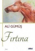 Firtina
