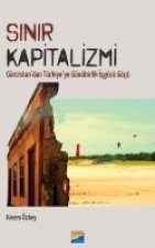 Sinir Kapitalizmi