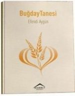 Bugday Tanesi