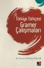 Türkiye Türkcesi Gramer Calismalari