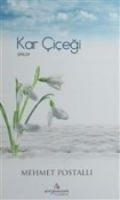 Kar Cicegi