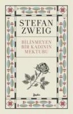 Bilinmeyen Bir Kadinin Mektubu