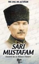 Sari Mustafam