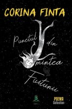 Punctul Din Mintea Furtunii