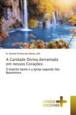 Caridade Divina derramada em nossos Coracoes