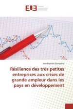 Résilience des tr?s petites entreprises aux crises de grande ampleur dans les pays en développement