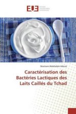 Caracterisation des Bacteries Lactiques des Laits Cailles du Tchad