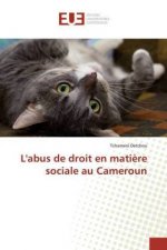 L'abus de droit en matiere sociale au Cameroun