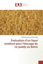 Évaluation d?un foyer amélioré pour l'étuvage du riz paddy au Bénin