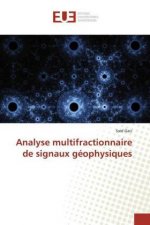 Analyse multifractionnaire de signaux géophysiques