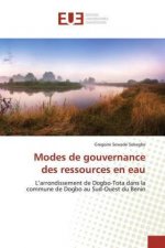 Modes de gouvernance des ressources en eau