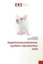 Hyperhomocystéinémie-syst?me reproducteur mâle
