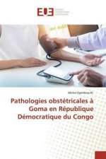 Pathologies obstetricales a Goma en Republique Democratique du Congo