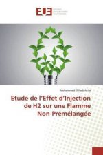 Etude de l?Effet d?Injection de H2 sur une Flamme Non-Prémélangée