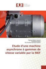 Etude d?une machine asynchrone ? gammes de vitesse variable par la MEF