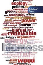 Biodiesel Production And Optimization