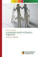 A proteç?o social no Brasil e Argentina
