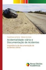 Acidentalidade viaria e Documentacao de Acidentes