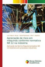 Apreciaç?o de risco em máquinas conforme normativa NR 12 na indústria