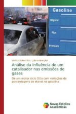 Análise da influ?ncia de um catalisador nas emiss?es de gases