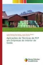 Aplicaç?es de Técnicas de PCP em Empresas do interior de Goiás