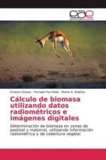 Calculo de biomasa utilizando datos radiometricos e imagenes digitales