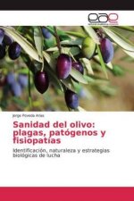 Sanidad del olivo: plagas, patógenos y fisiopatías
