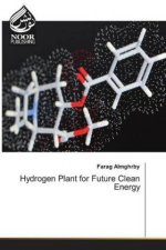 Hydrogen Plant for Future Clean Energy