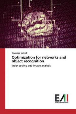 Optimization for networks and object recognition