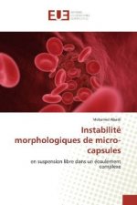Instabilite morphologiques de micro-capsules