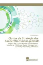 Cluster als Strategie des Kooperationsmanagements