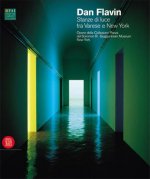 Dan Flavin: Rooms of Light: Works of the Panza Collection Form Villa Panza, Varese and the Solomon R. Guggenheim Museum, New York