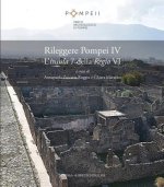 Rileggere Pompei IV: L'Insula 7 Della Regio VI