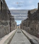 Rileggere Pompei V: L'Insula 7 Della Regio IX