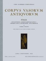 Corpus Vasorum Antiquorum. Italia, 84: Collezione Jatta Fasc. V. Ruvo Di Puglia. Medio Apulo II