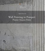 Wall Painting in Pompeii: Plaster, Stucco, Paint