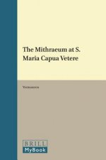 The Mithraeum at S. Maria Capua Vetere