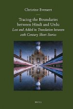 Tracing the Boundaries Between Hindi and Urdu: Lost and Added in Translation Between 20th Century Short Stories [With CD (Audio)]
