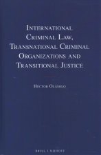 International Criminal Law, Transnational Criminal Organizations and Transitional Justice