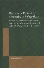 The Internal Protection Alternative in Refugee Law: Treaty Basis and Scope of Application Under the 1951 Convention Relating to the Status of Refugees