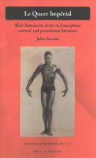 Le Queer Impérial: Male Homoerotic Desire in Francophone Colonial and Postcolonial Literature