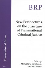 New Perspectives on the Structure of Transnational Criminal Justice
