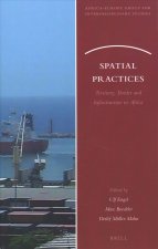 Spatial Practices: Territory, Border and Infrastructure in Africa